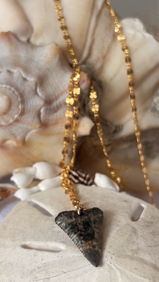 Marbled Relic